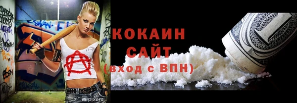 гашик Инсар