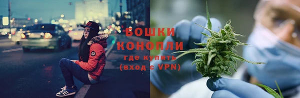 гашик Инсар