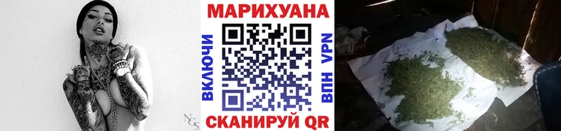 Конопля план  Купить  Будённовск 